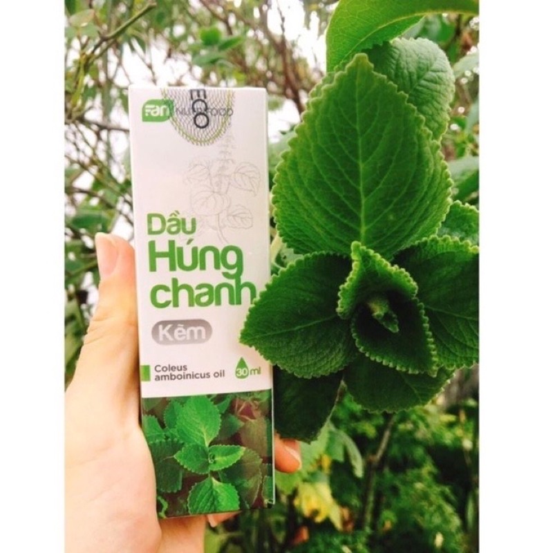 Dầu Húng Chanh Kẽm (Mua 2 tặng 1 hộp khẩu trang cao cấp cho bé)