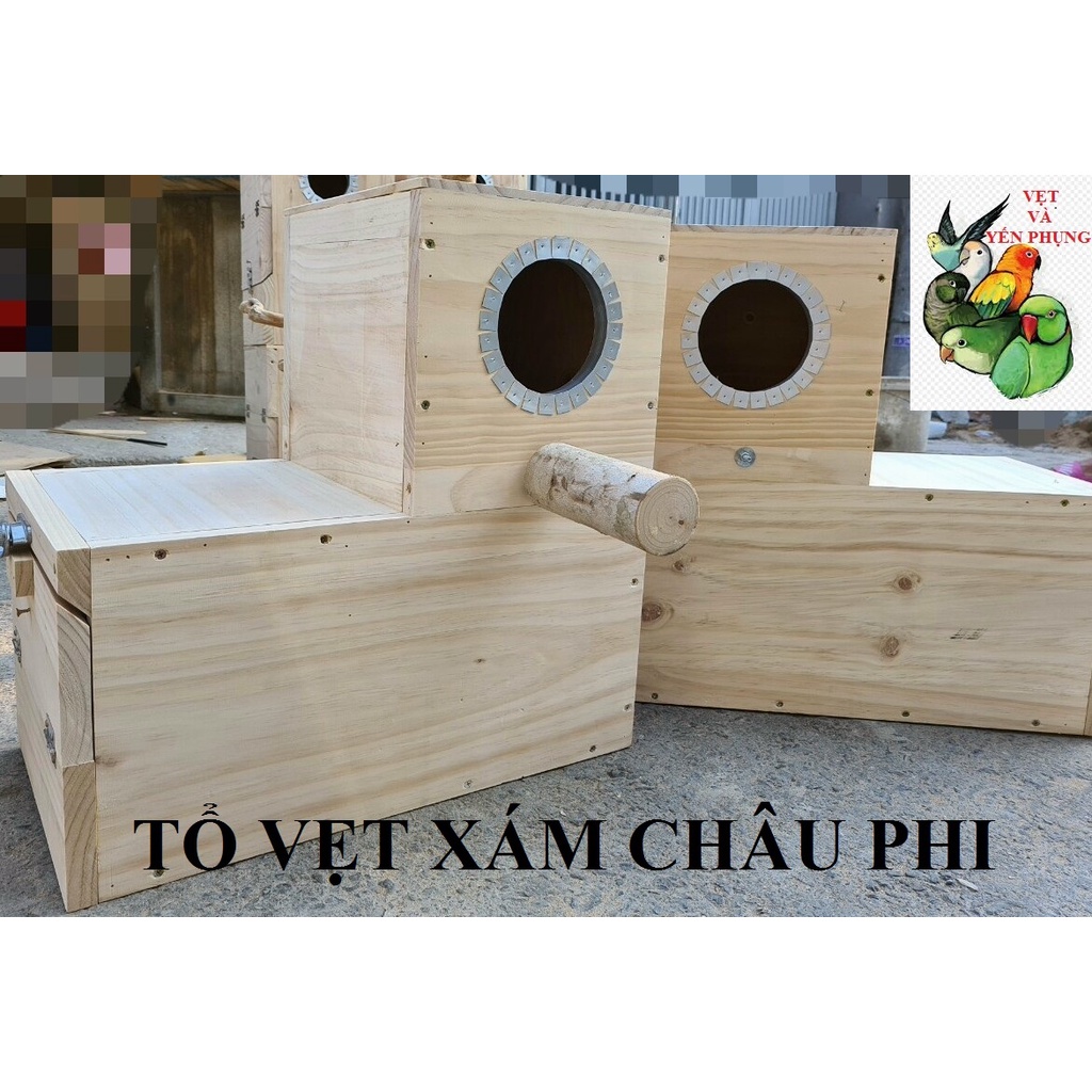 TỔ CHO VẸT XÁM CHÂU PHI (BỌC TÔN BÊN TRONG CHỐNG CẮN, GỖ THÔNG CAO CẤP NGUYÊN KHỐI)