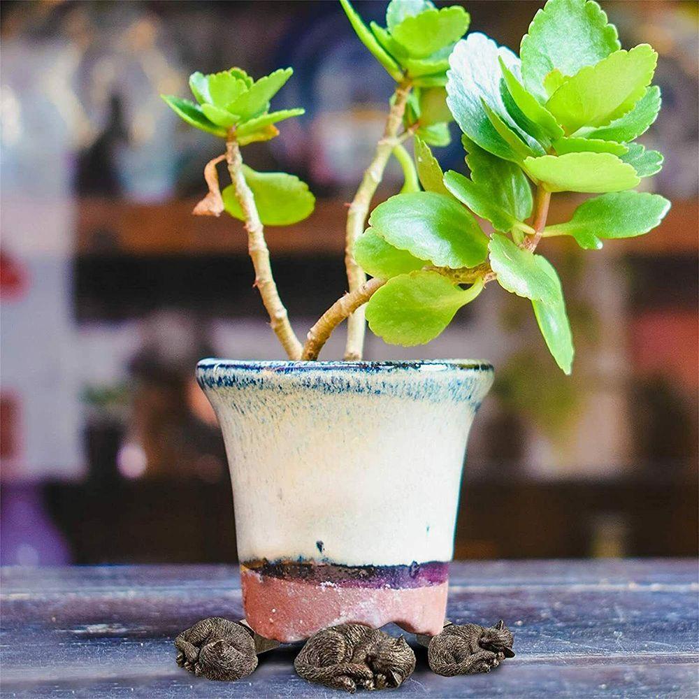 LAKAMIER Bộ 3 Chân Đứng Để Chậu Cây Bonsai Hình Động Vật