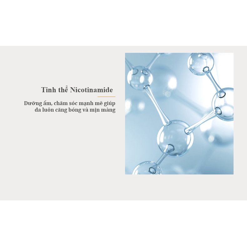 Toner Nước cân bằng tinh chất Gold 24K VENZEN chai 300ml nội địa Trung