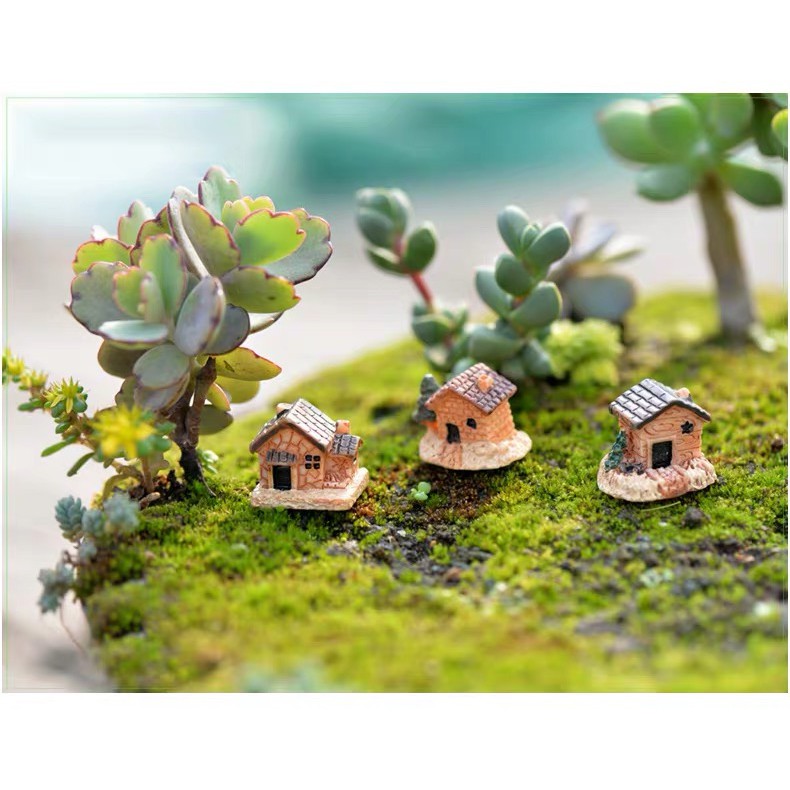 Tiểu cảnh cảnh quan nhà trang trí sen đá, xương rồng, terrarium, charm slime, cây cảnh mini, cây để bàn, đồ trang trí