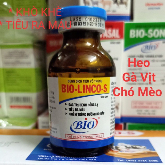 BIO LINCO S - SƯNG MẮT, KHÒ KHÈ, TIÊU RA MÁU Ở CHÓ MÈO GÀ