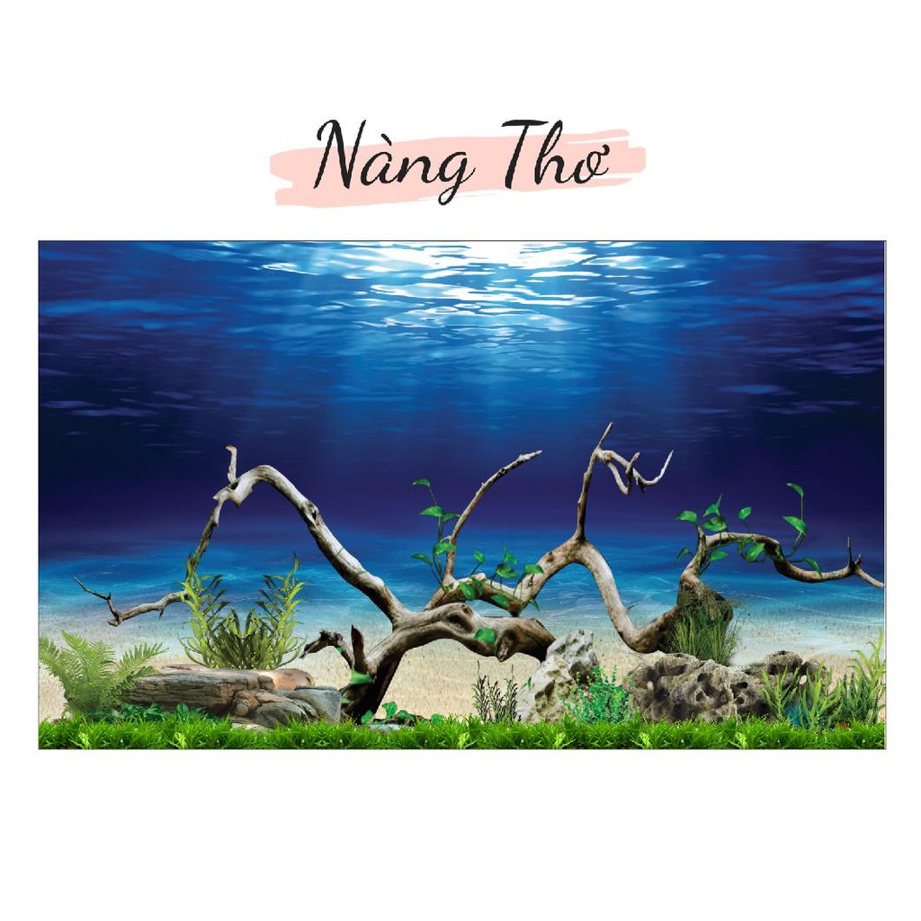 DECAL HỒ CÁ CÂY THUỶ SINH 3D_THIẾT KẾ NÀNG THƠ