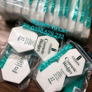 Bông tém tam giác