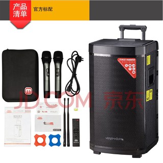 Loa kéo di động Malata 9102Y