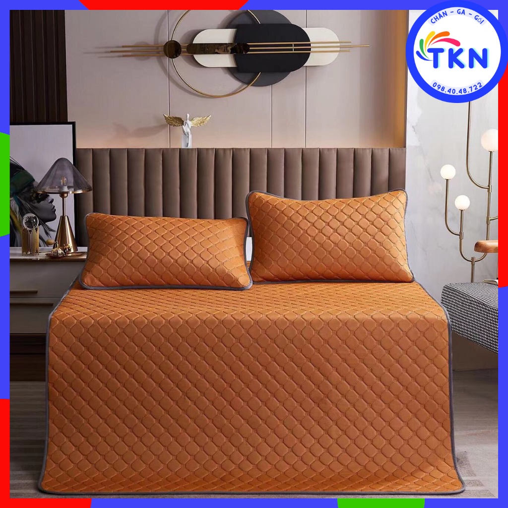 [LOẠI 1] Chiếu Điều Hoà Cao Su Non Tencel  Mát Lạnh , Chiếu Cao Su Điều Hoà Trần 3 Lớp Mẫu Mới 2022 (tặng kèm 2 vỏ gối)