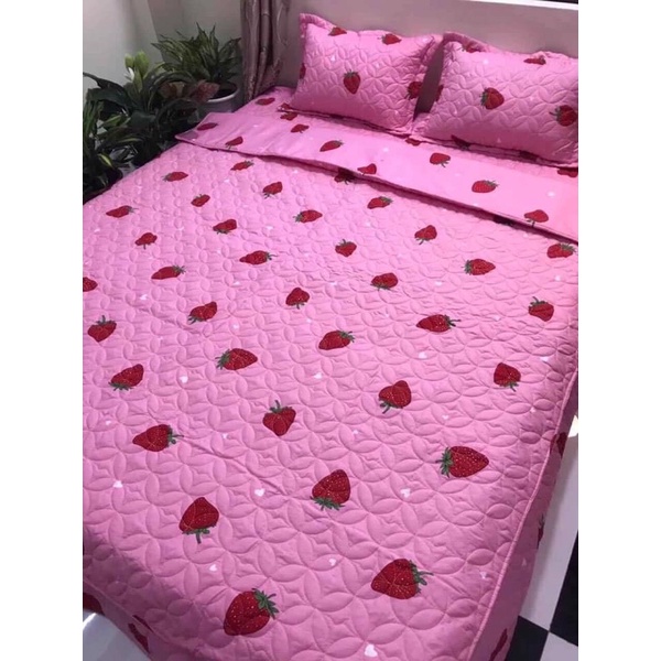 Bộ chăn ga gối trần bông phủ xẻ góc , ga chùm dầy dặn đẹp