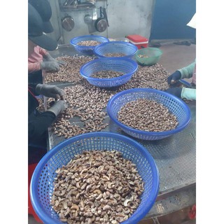 Hạt điều rang muối hạt lớn loại 1, hạt đều, không bị sâu, giòn rụm, chính gốc hạt điều Gia Lai