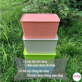 Giỏ đựng đồ Song Long 2574
