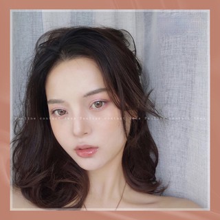 KÍNH ÁP TRÒNG ICE BROWN
