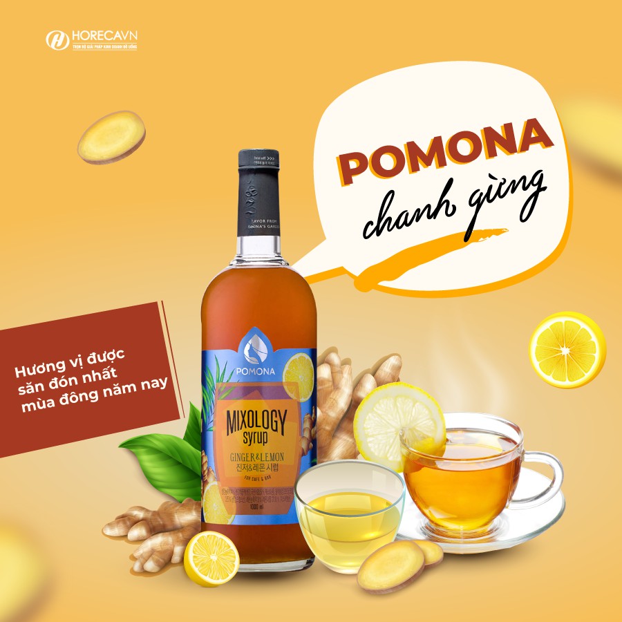 Siro Pomona Các Vị - Phân Phối Độc Quyền, Giá Ưu Đãi