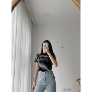 Áo len kẻ mỏng One tay cộc AP319 1994closet