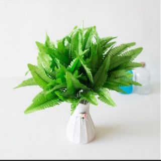Lá Giả - Cành lá dương xỉ lụa