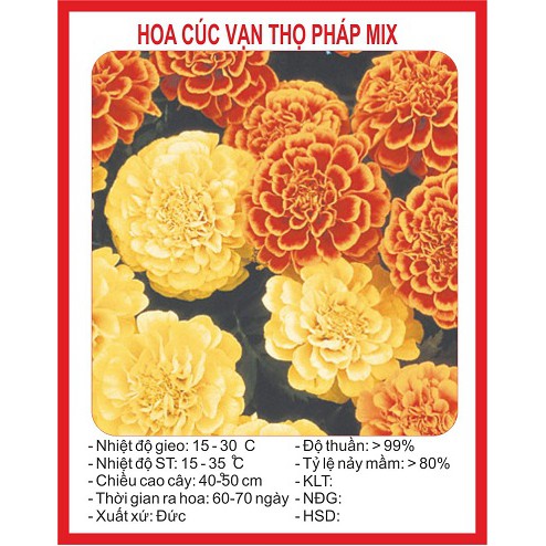 Gói 50 hạt giống cúc vạn thọ ban mai Pháp