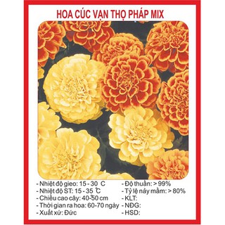 Hạt giống cúc vạn thọ pháp gói 50 hạt