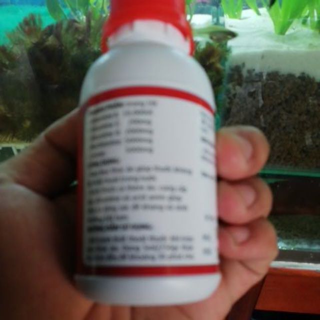 Chất kết dính và dẫn dụ sinh học gell best