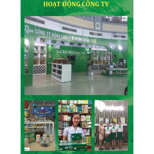 Nấm Lim Xanh Tiên Phước - Thái Lát 500GRAM