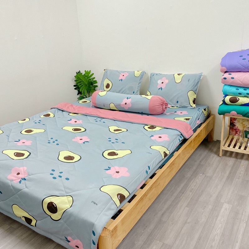 bộ ga và vỏ gối thun hàn hình trái bơ