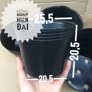 [Giá RẺ]  (Combo 10 cái) Chậu nhựa đen C10 trồng hoa, trồng rau, trồng cây kiểng chất đẹp.