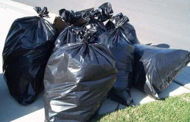 Túi đựng rác tự phân hủy