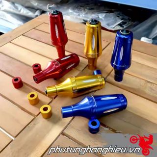 Gù chống đỡ rizoma sau