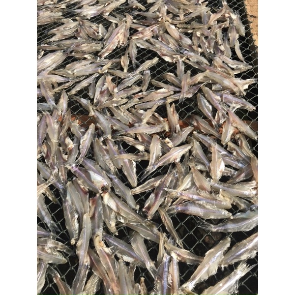 Khô cá cơm