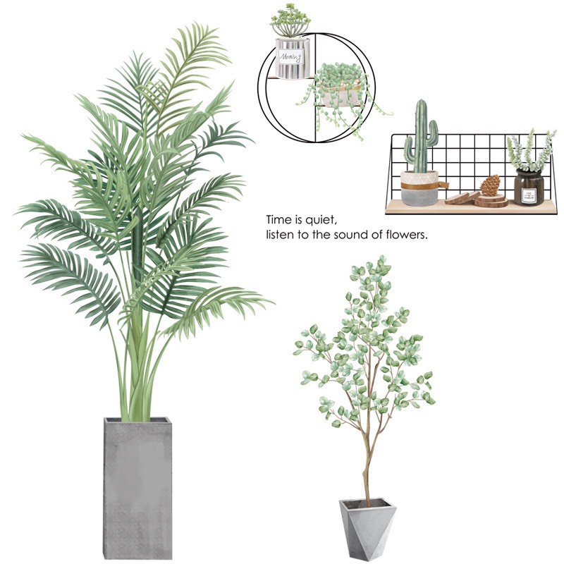 Decal dán tường cây cau  cảnh