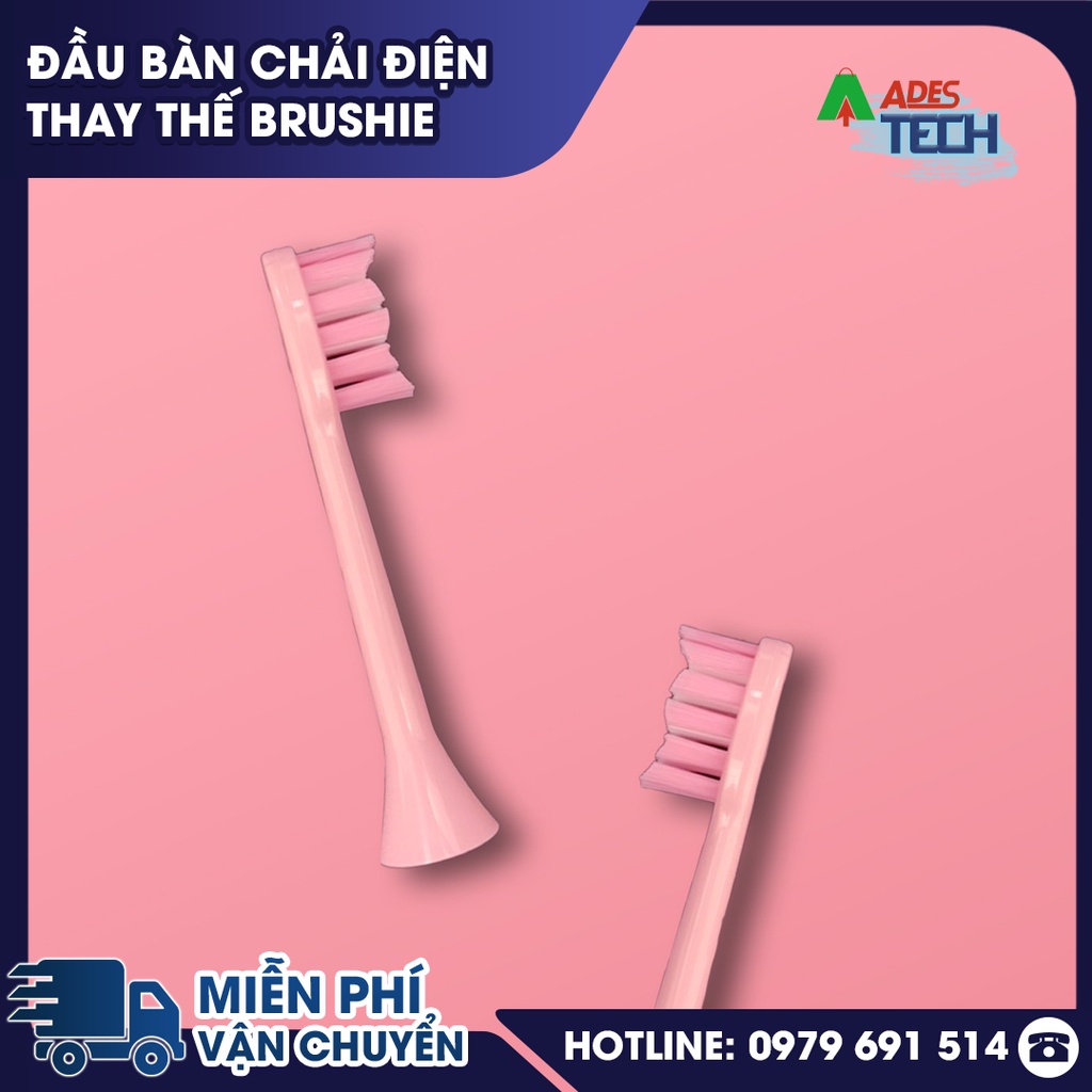 Đầu bàn chải điện thay thế | Đầu bàn chải Brushie
