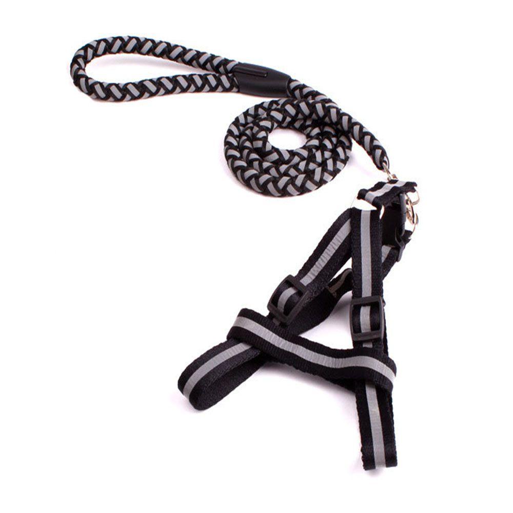 Bộ Dây Dắt Và Dây Dắt Đi Dạo Bằng Nylon Bện Phản Quang