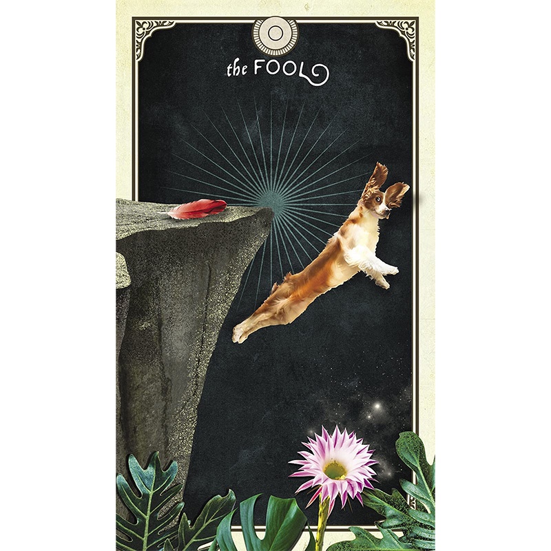 Bộ Bài Tarot of Curious Creatures (Mystic House Tarot Shop) - Bài Gốc Authentic Chính Hãng 100%