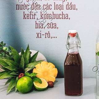 Chai thủy tinh vuông nắp cài kín hơi 250ml - Sapata