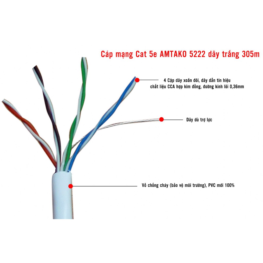 Dây mạng bấm sẵn Cat 5e AMTAKO 5222 dây trắng - Hàng Chính Hãng