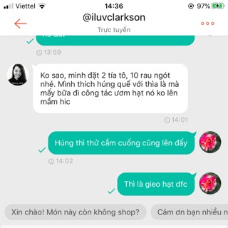 Combo 10 bầu rau ngót,2bầu tía tô chỉ 120k
