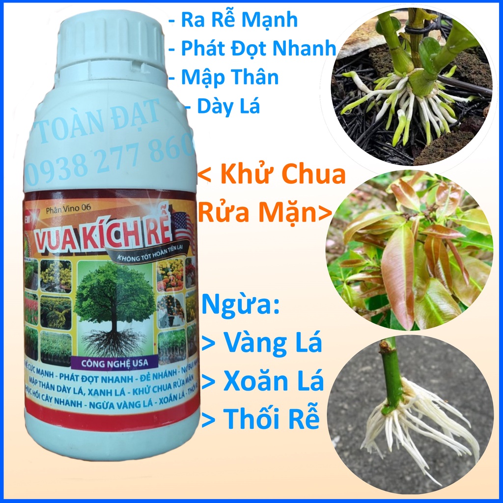 Vua Kích Rễ (chai 500ml) - Phân Bón Ra Rễ Cực Mạnh