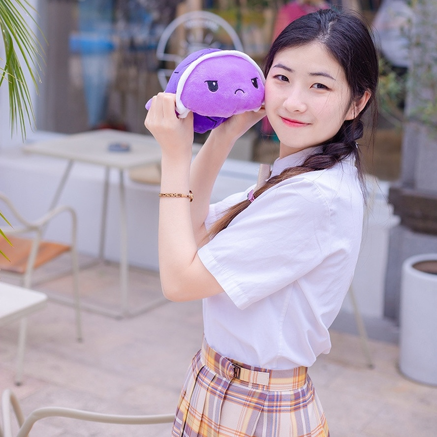 Rùa Nhồi Bông Cảm Xúc 2 Mặt Đáng Yêu - Hàng Siêu Độc Rùa Giận Dữ Đáng Yêu #yjteam67