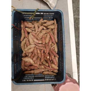 Khoai lang mật đà lạt