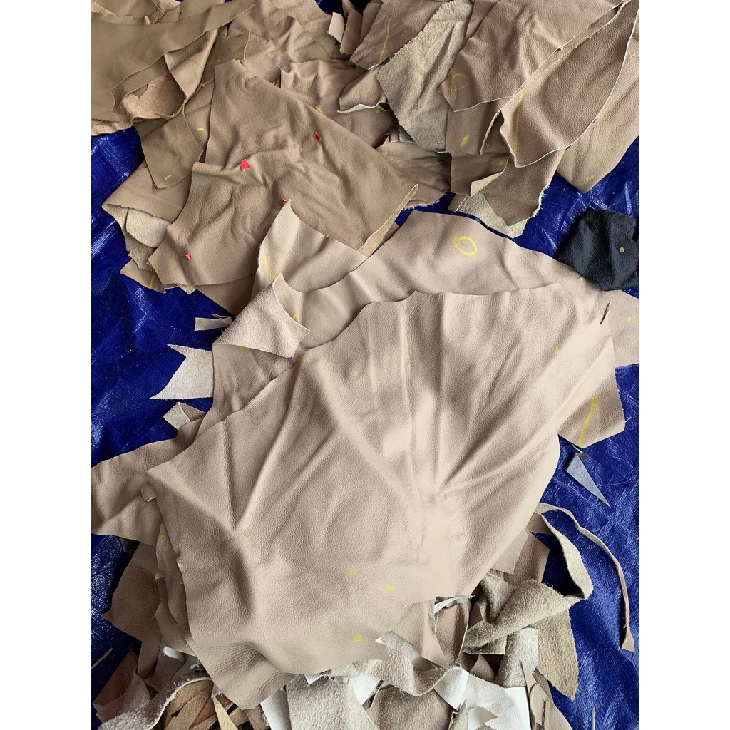 Da salon ý da bỏ thật