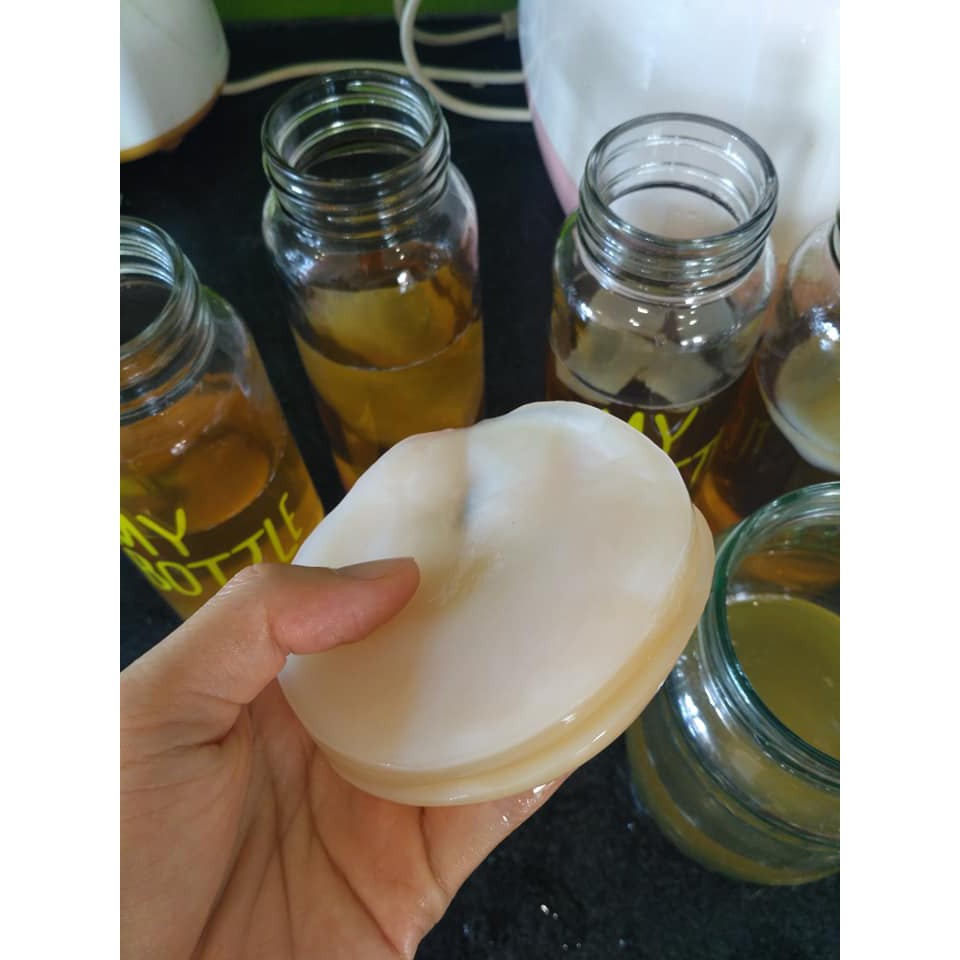Trà Kombucha