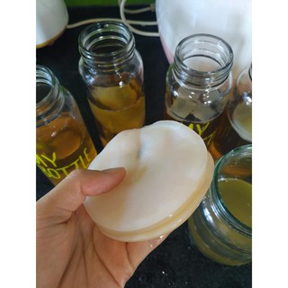 Trà Kombucha