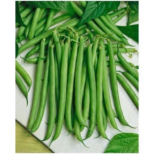 Hạt Giống Đậu Cove Leo Hạt Đen - SL: 20 GRAM