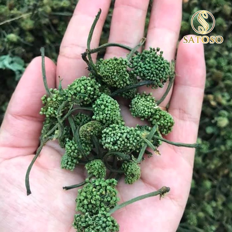 Nụ hoa tam thất khô tốt cho sức khỏe SATOSO 100g SA04