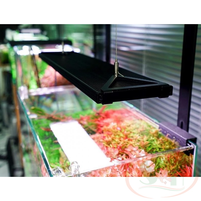 Đèn led Chihiros WRGB 2 Pro 30, 45, 60 cm wrgb2 quang phổ trồng cây bể thủy sinh cá tép
