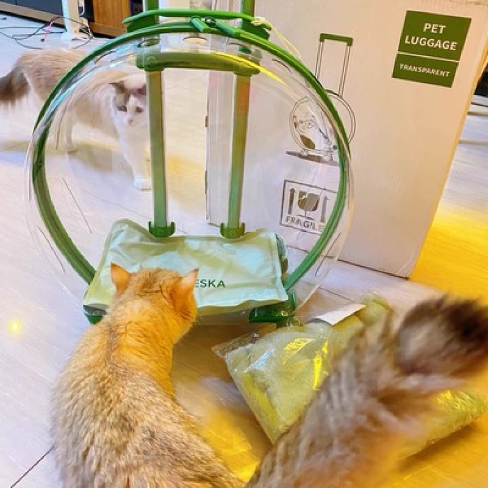 Vali đẩy cho mèo trong suốt cao cấp BECHON VALI115