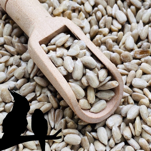 500G | HƯỚNG DƯƠNG NHÂN CHO THÚ CƯNG.