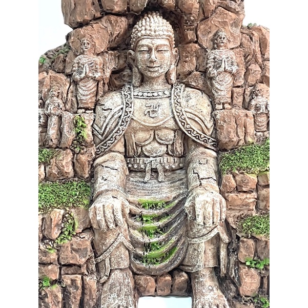 Trang Trí Hồ Cá , Thuỷ Sinh - Phật Lạc Sơn