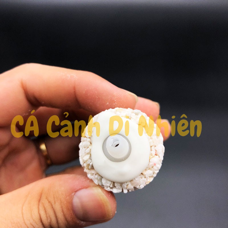 Quả Sủi Mè hình trụ Oxy cho hồ cá cảnh size 7 x 3 cm - Đá sủi oxy bể cá