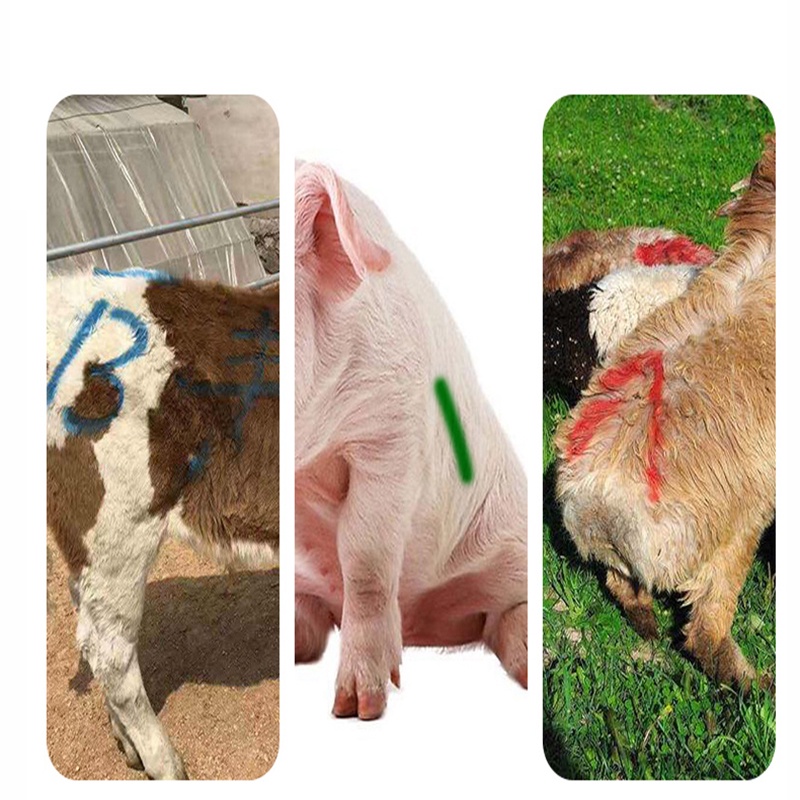 Rẻ🎉3 Màu bút đánh dấu heo , bút sáp đánh dấu gia súc chống nước, không trôi