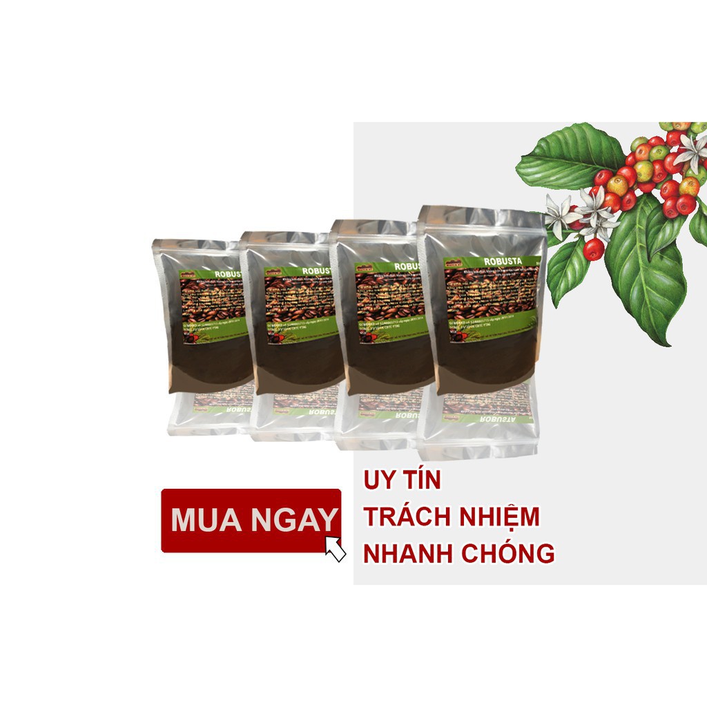 Cà phê Robusta, vối xay, pha phin, bột nguyên chất 100% ít bơ loại 500g | BigBuy360 - bigbuy360.vn