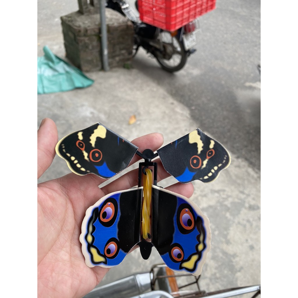 ĐỒ CHƠI BƯỚM BAY - flying butterfly - Món quà bất ngờ vui nhộn