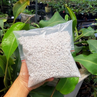 Đá perlite, đá trân châu (túi 100g) size 3-6mm dùng để trồng sen đá, cây bắt mồi, cây cảnh